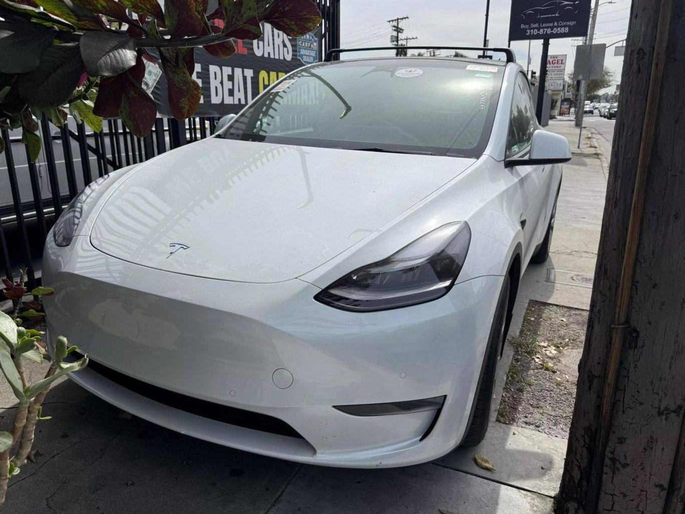 TESLA MODEL Y 2022 7SAYGDEF0NF467403 image